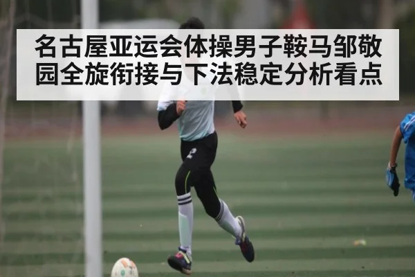 名古屋亚运会体操男子鞍马邹敬园全旋衔接与下法稳定分析看点